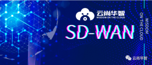 SD-WAN安全能力，支撑企业组网安全