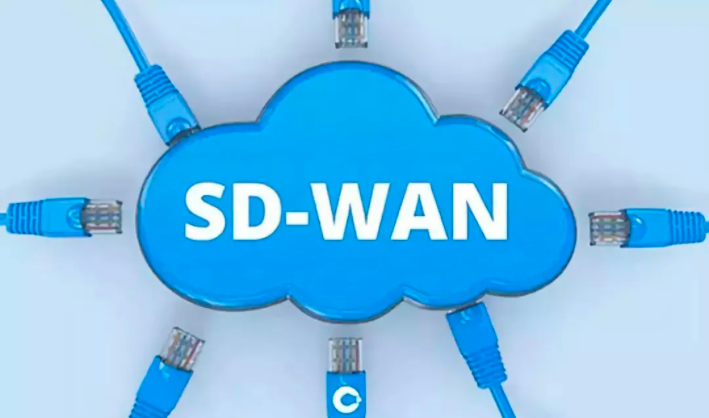 为什么 SD-WAN 很重要？