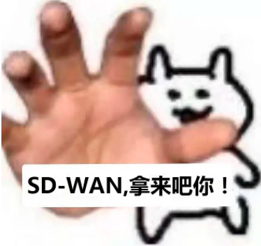 省钱又有多种优势的SD-WAN，拿来吧你！