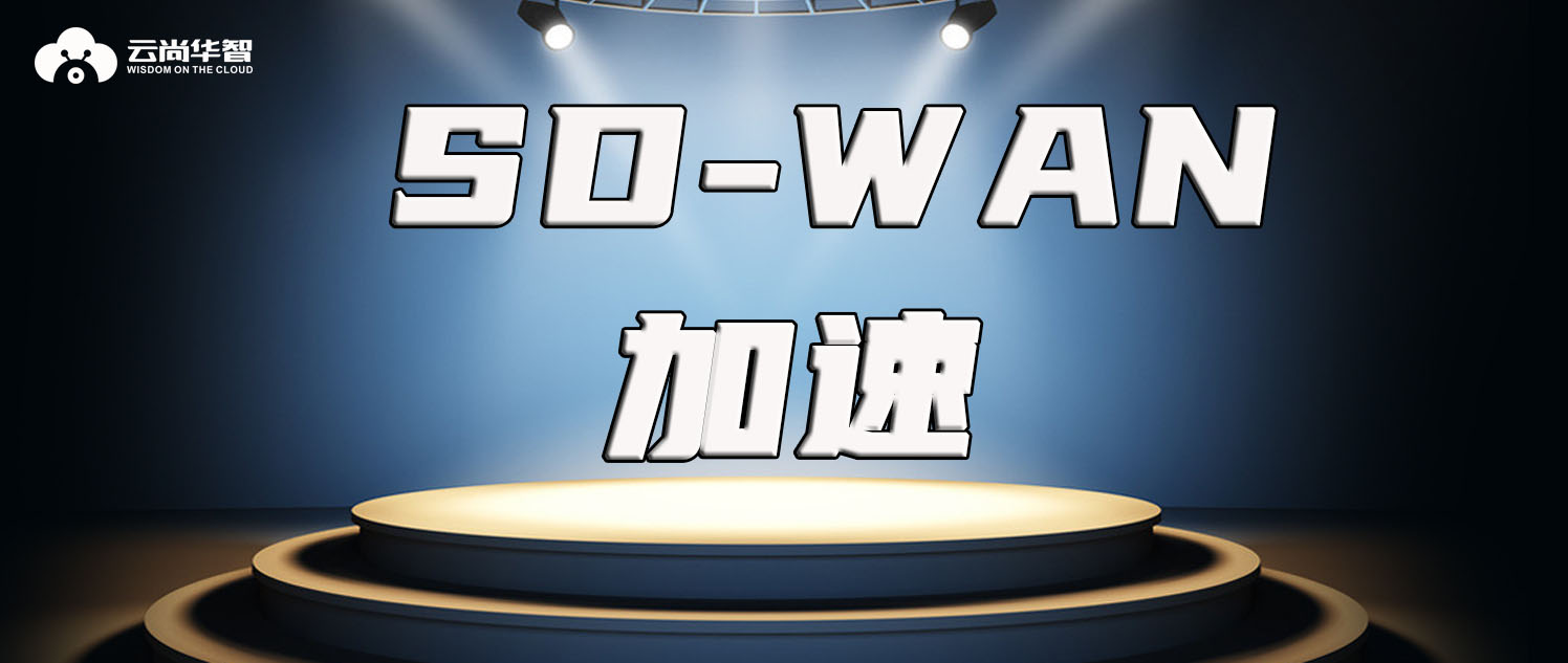 SD-WAN加速