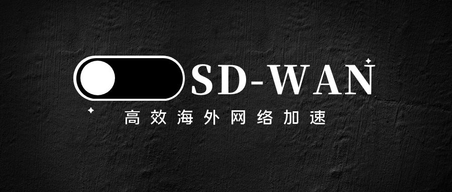 SD-WAN网络加速
